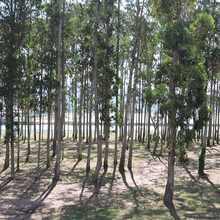Apartamento Pie De Playa, El Puntal-Villaviciosa Villaviciosa  Bagian luar foto
