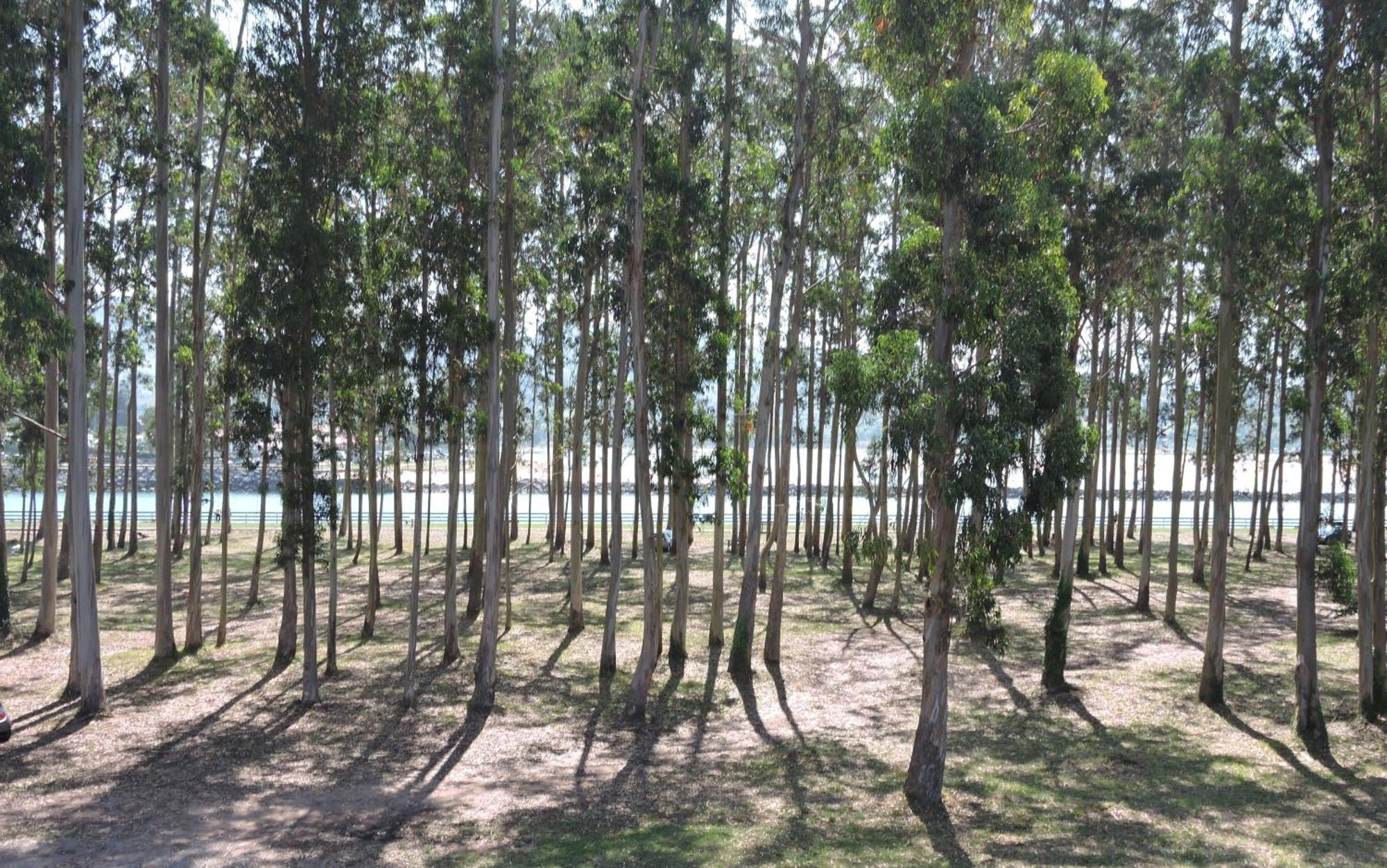 Apartamento Pie De Playa, El Puntal-Villaviciosa Villaviciosa  Bagian luar foto